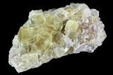 Lustrous Yellow Cubic Fluorite Crystal Cluster - Morocco #84246-1